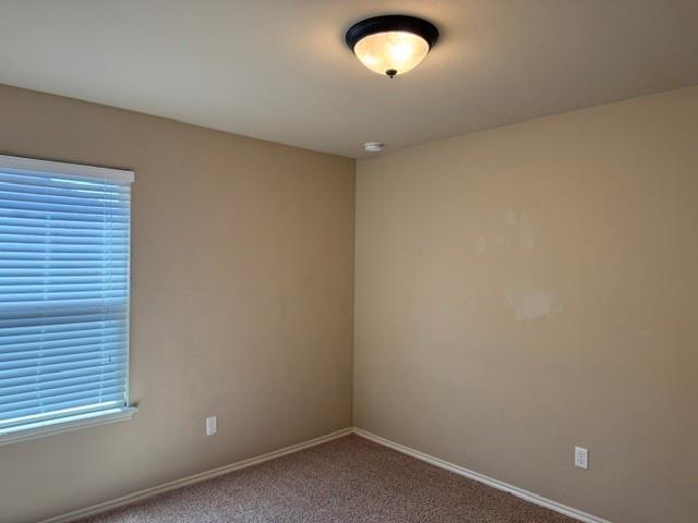 3504 Frederick Drive Property Photo 24