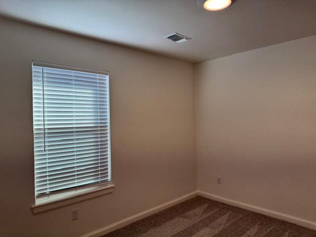 3728 Alta Vista Drive Property Photo 29