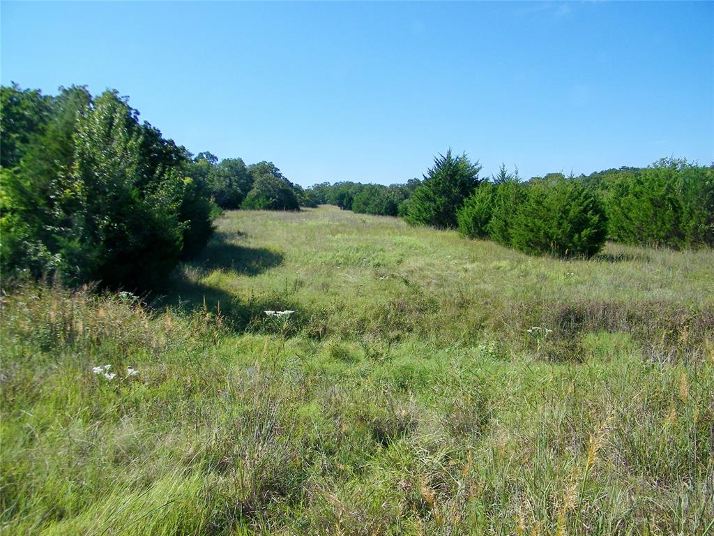 0 Highway 102 Property Photo 4