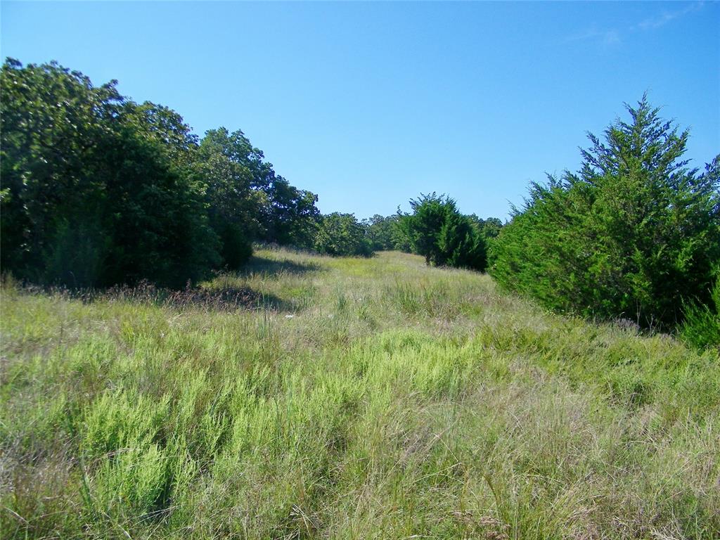0 Highway 102 Property Photo 7