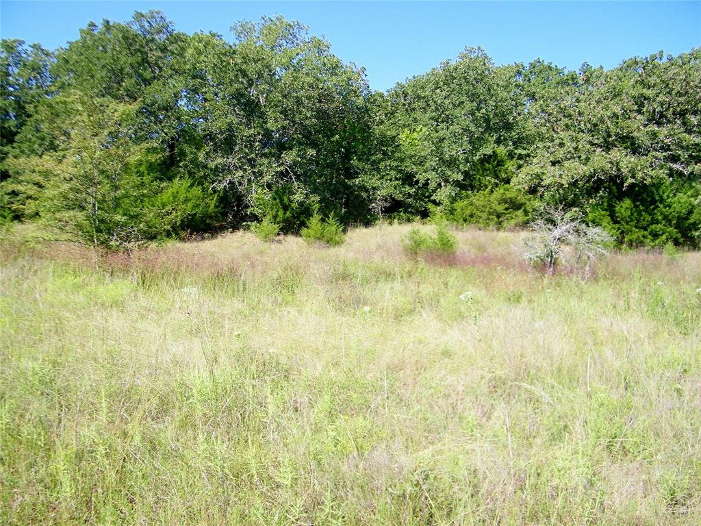 0 Highway 102 Property Photo 8