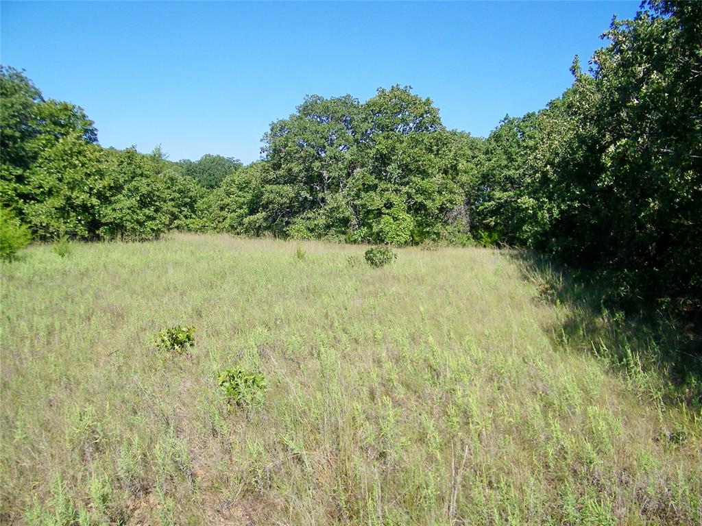 0 Highway 102 Property Photo 9