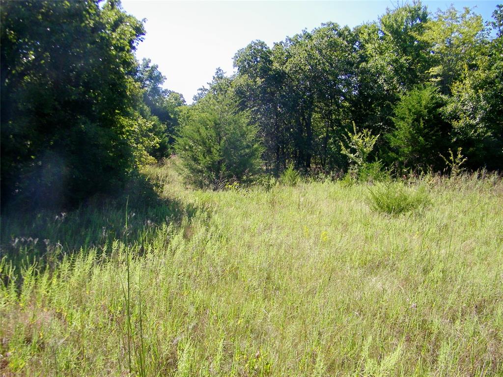 0 Highway 102 Property Photo 12