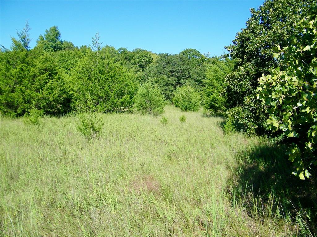 0 Highway 102 Property Photo 13