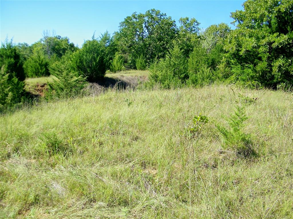 0 Highway 102 Property Photo 14