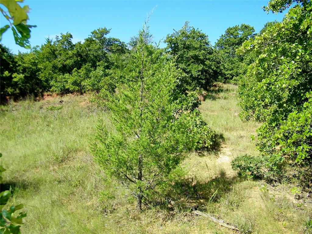 0 Highway 102 Property Photo 16