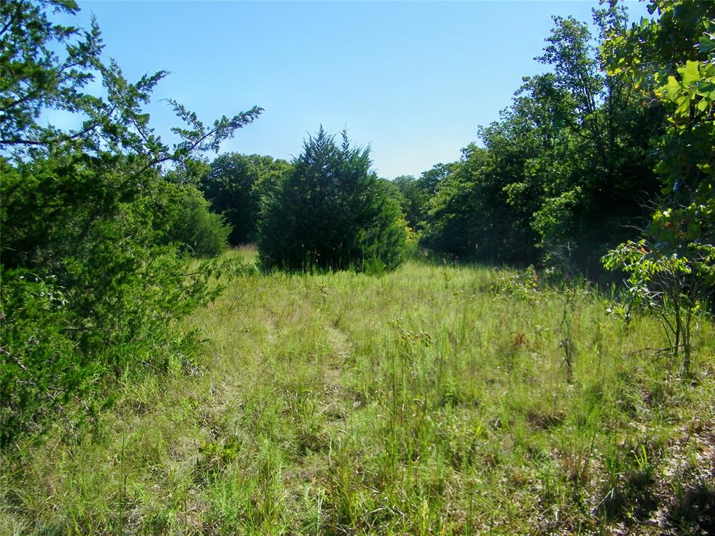 0 Highway 102 Property Photo 19