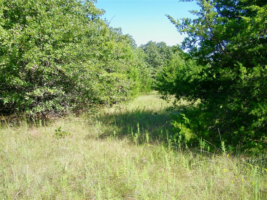 0 Highway 102 Property Photo 20