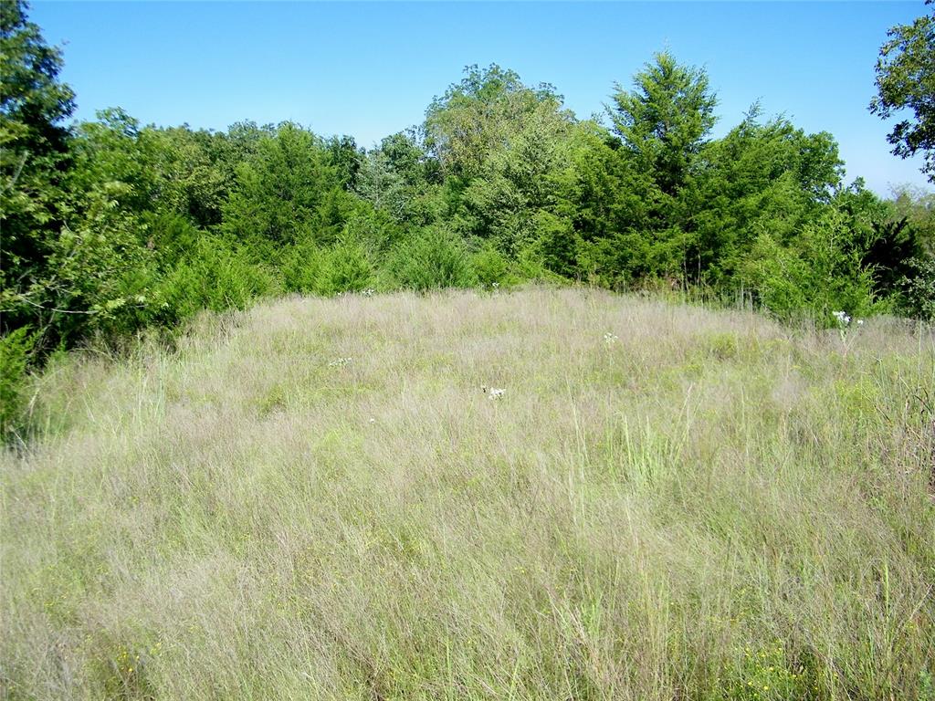 0 Highway 102 Property Photo 23