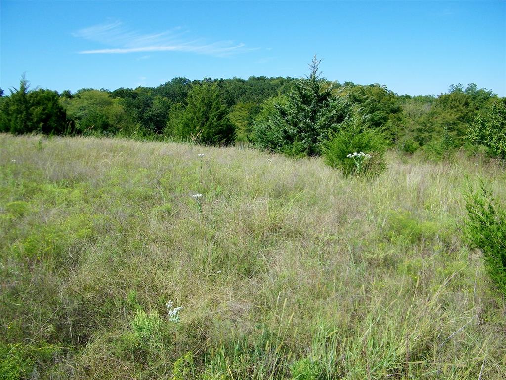 0 Highway 102 Property Photo 28