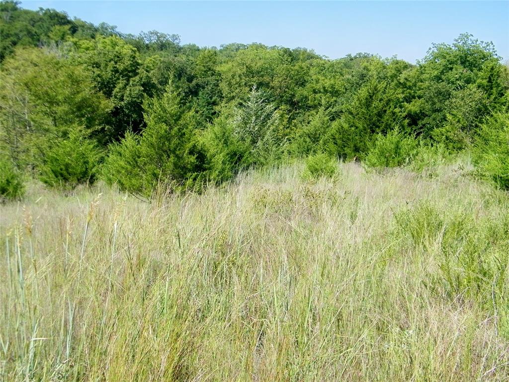 0 Highway 102 Property Photo 35