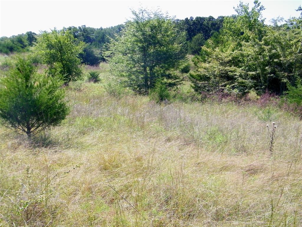 0 Highway 102 Property Photo 36
