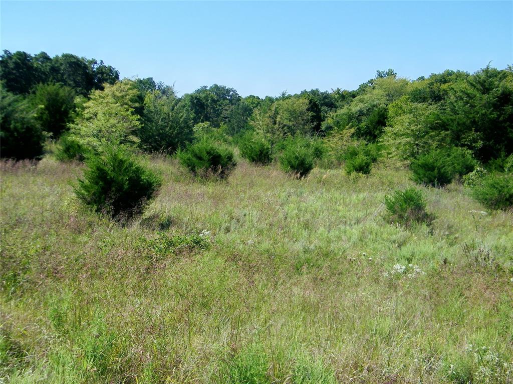 0 Highway 102 Property Photo 37