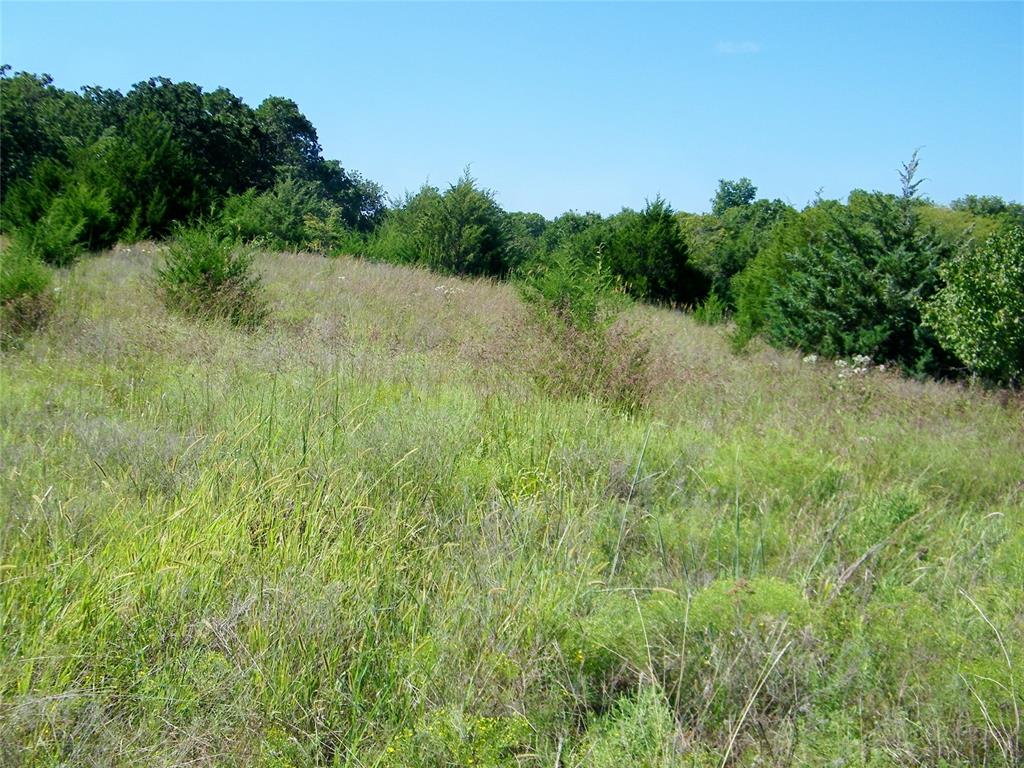 0 Highway 102 Property Photo 38