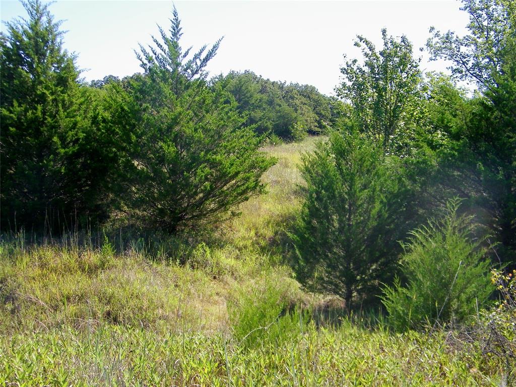 0 Highway 102 Property Photo 39