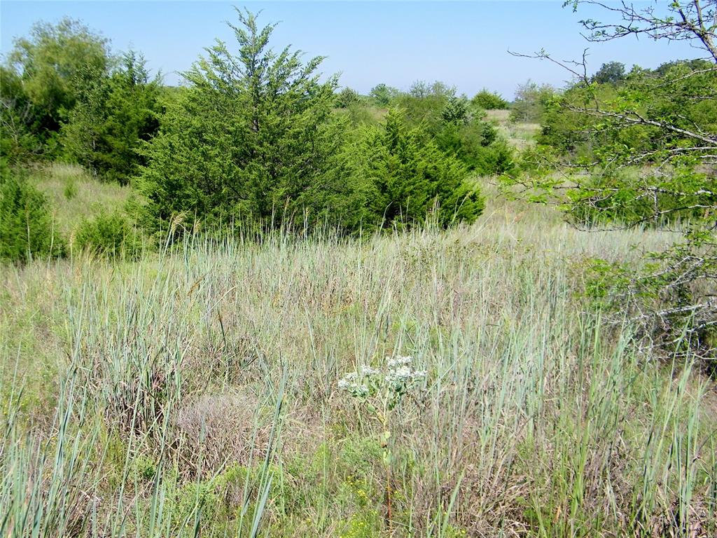 0 Highway 102 Property Photo 45