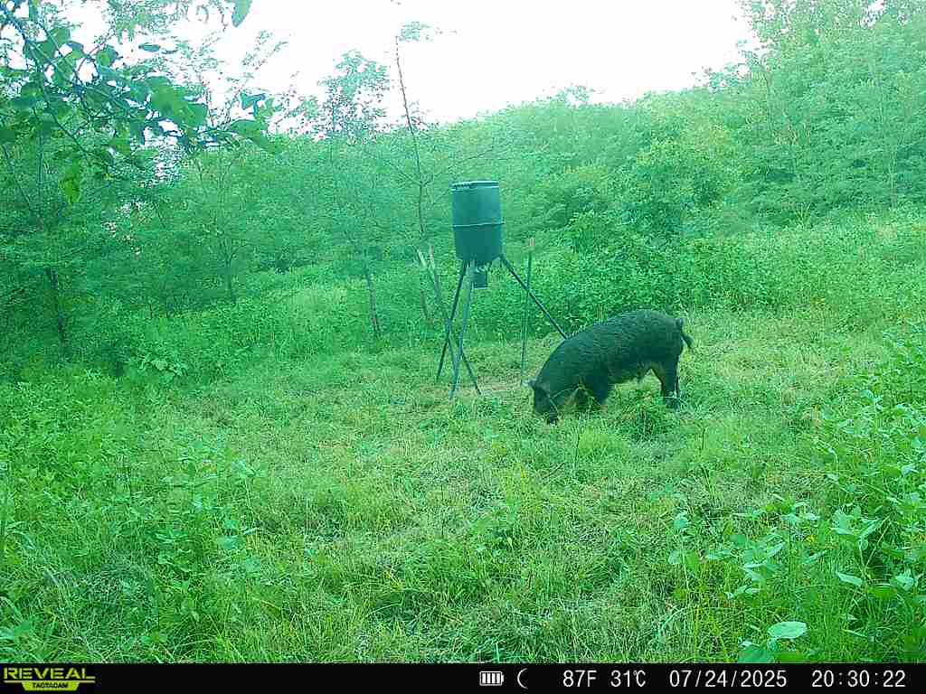 4490 Dillard Road Property Photo 26