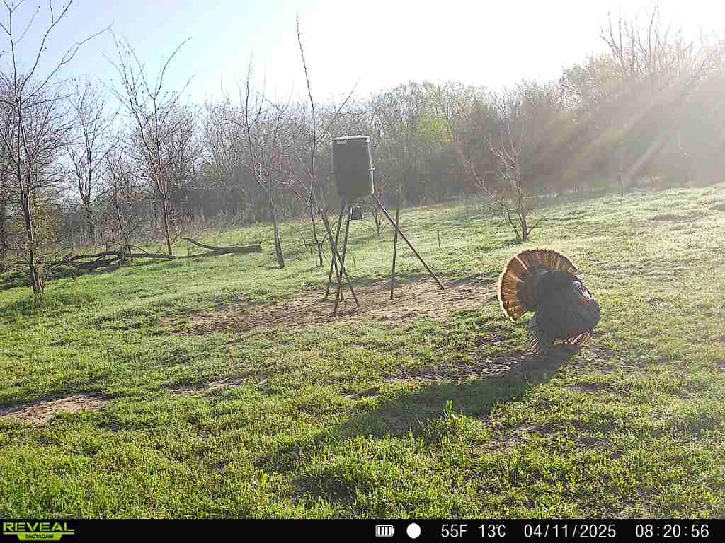 4490 Dillard Road Property Photo 27