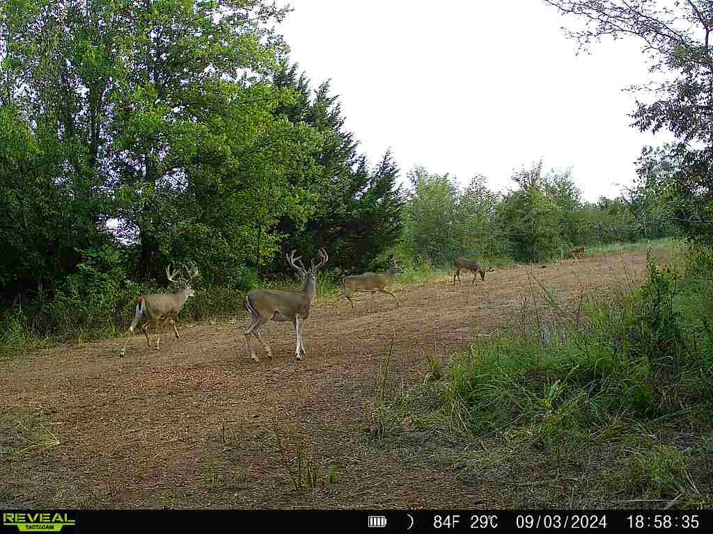 4490 Dillard Road Property Photo 34