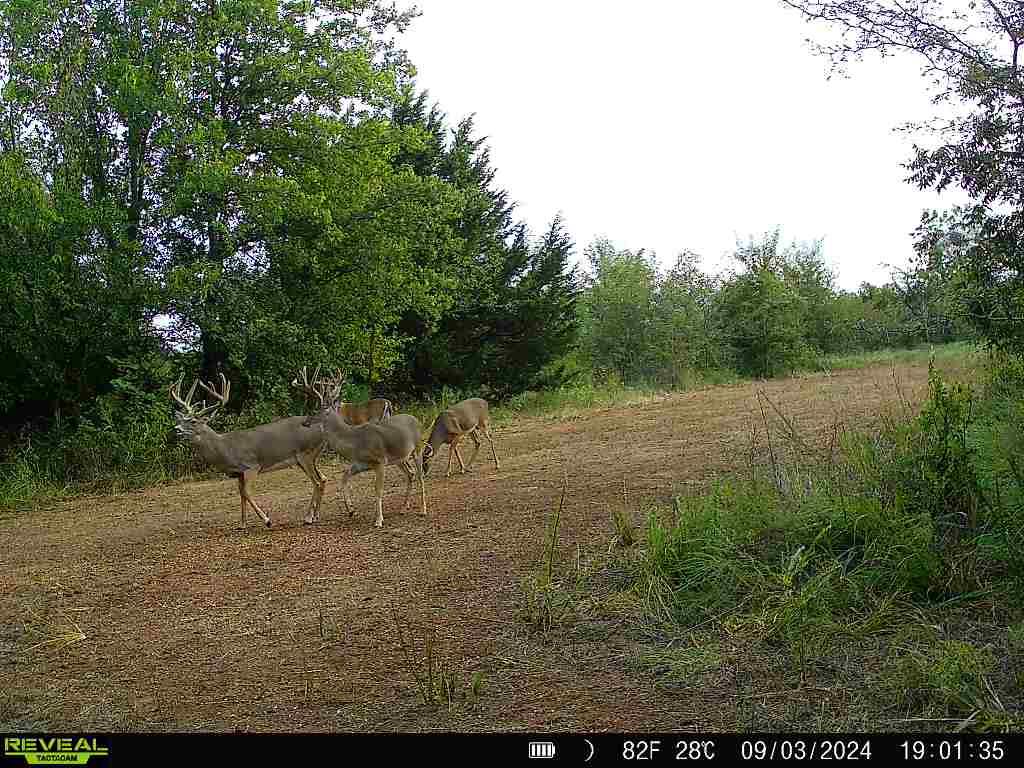 4490 Dillard Road Property Photo 35
