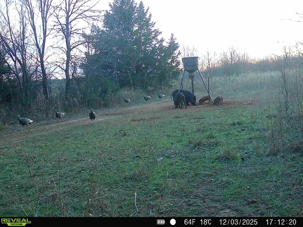 4490 Dillard Road Property Photo 37