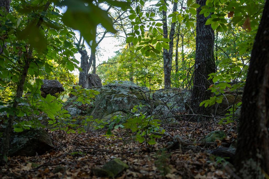 115022 N 3720 Road Property Photo 40