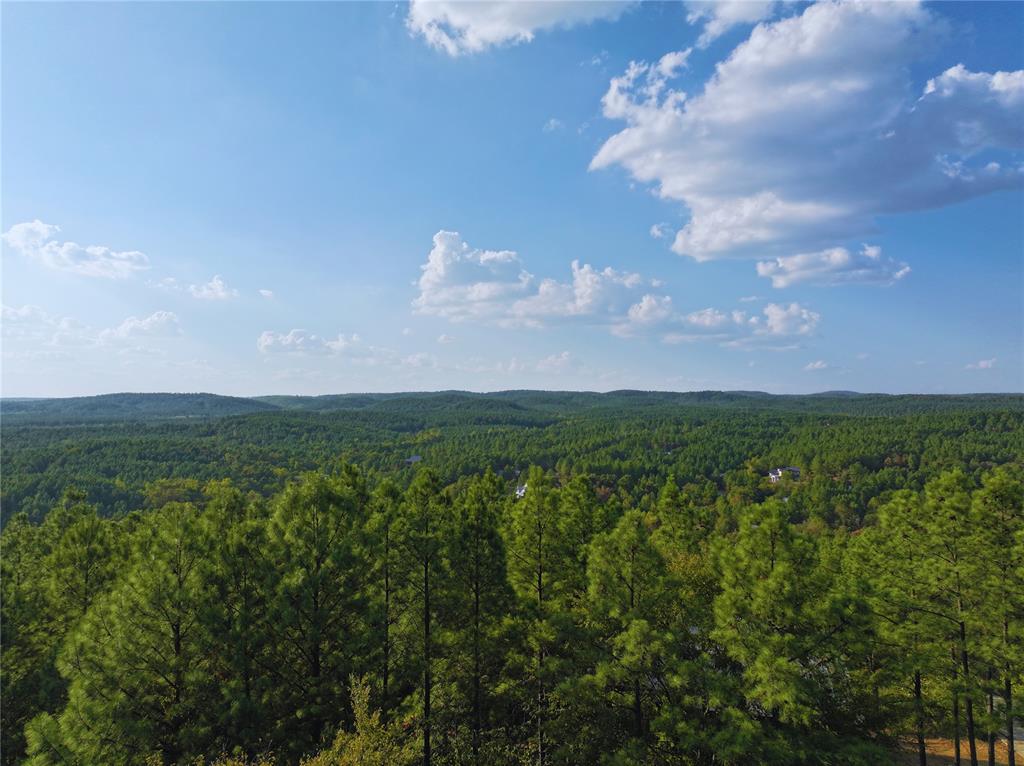 489 Timber Creek Trail Property Photo 2