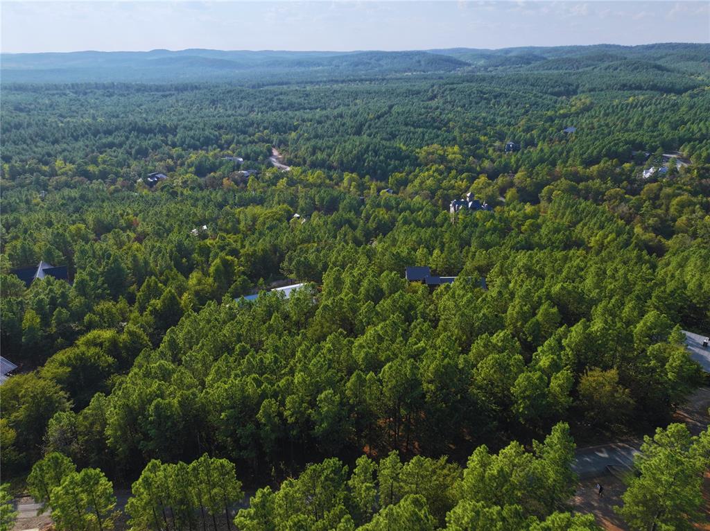 489 Timber Creek Trail Property Photo 3
