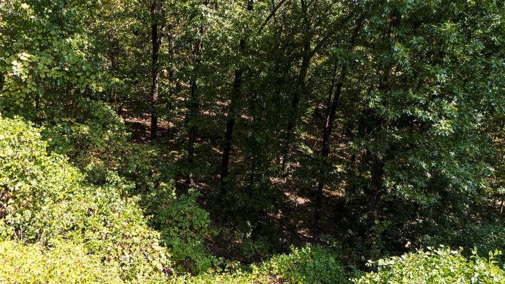54201 Pin Oak Circle Property Photo 11
