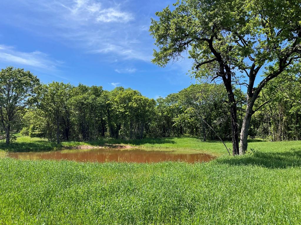 10701 Oak Hill Ranch Road Property Photo 1