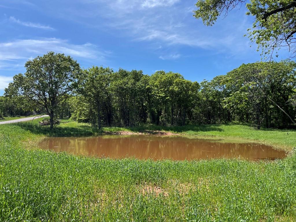 10701 Oak Hill Ranch Road Property Photo 2