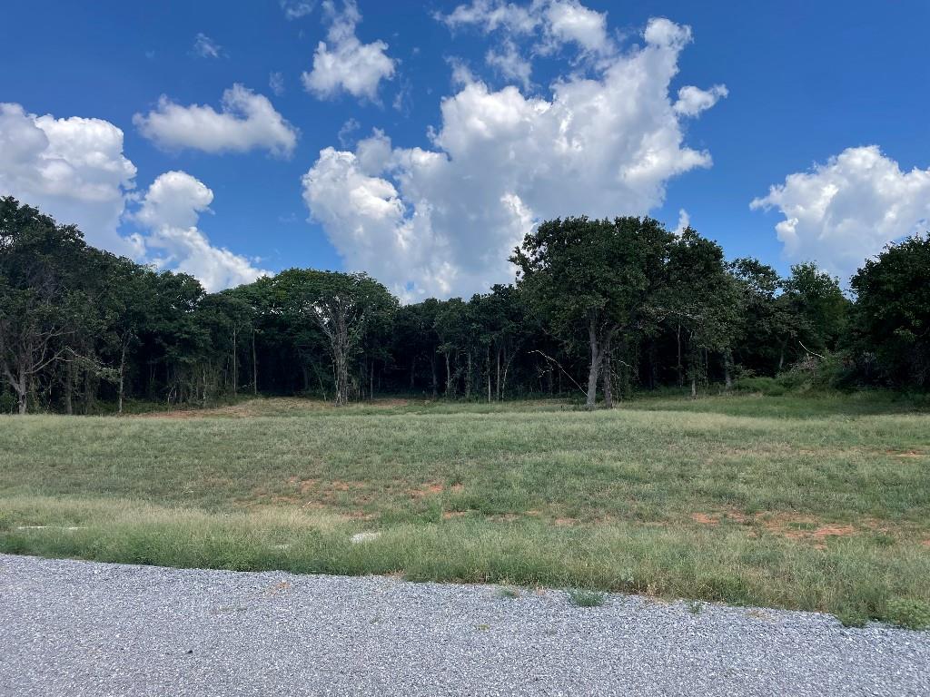 10701 Oak Hill Ranch Road Property Photo 3