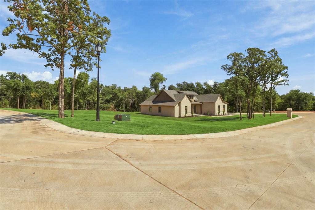 8200 Sacred Forest Property Photo 4