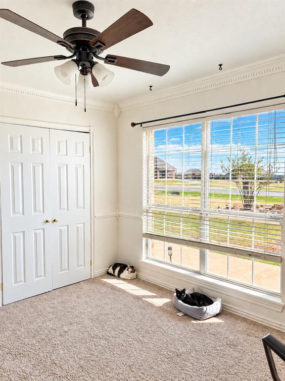 296 Prairie View Drive Property Photo 27