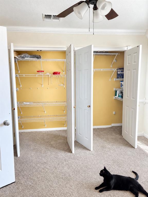 296 Prairie View Drive Property Photo 28