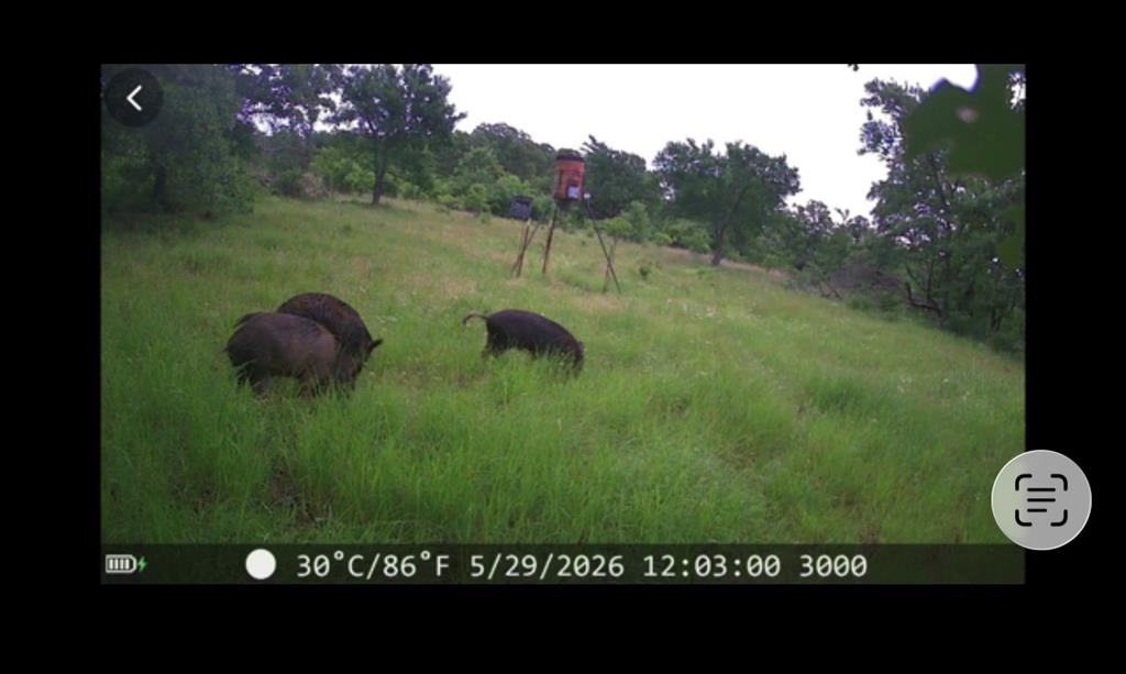 2102 3884 Property Photo 11