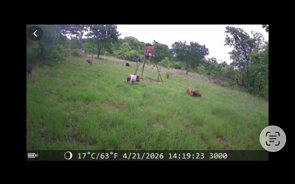 2102 3884 Property Photo 12