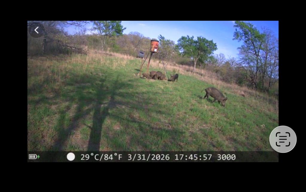 2102 3884 Property Photo 14