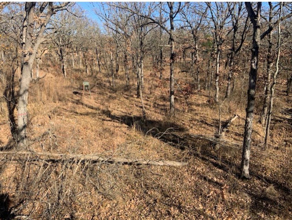 2102 3884 Property Photo 16