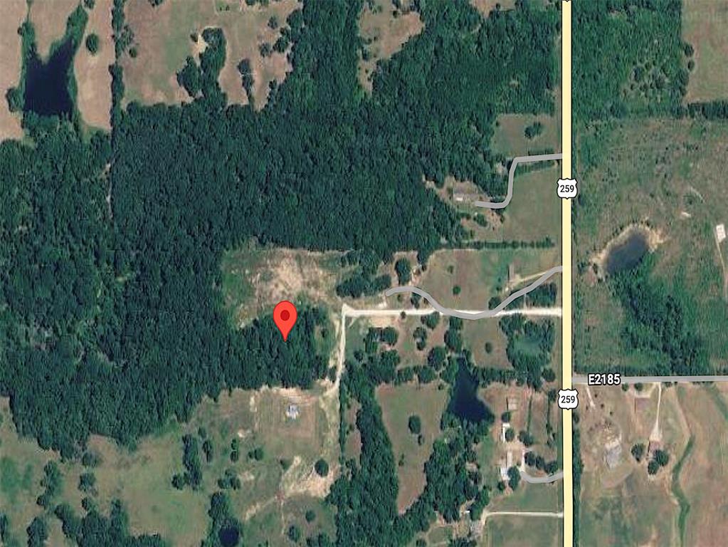 4305 S Us Highway 259 Property Photo 1