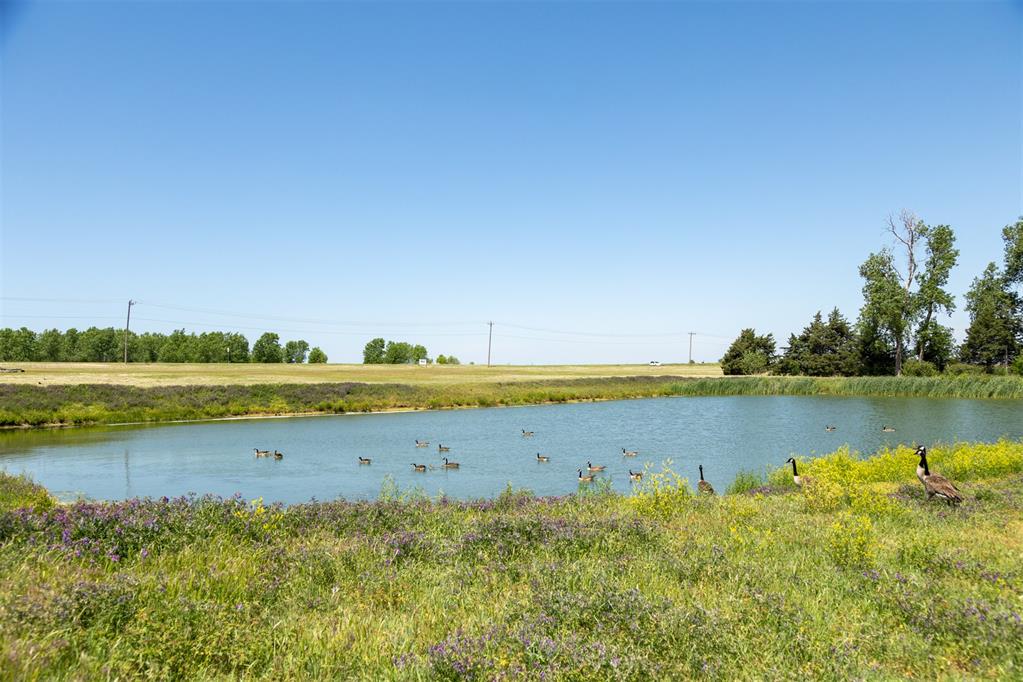 704 Side Track Road Property Photo 49