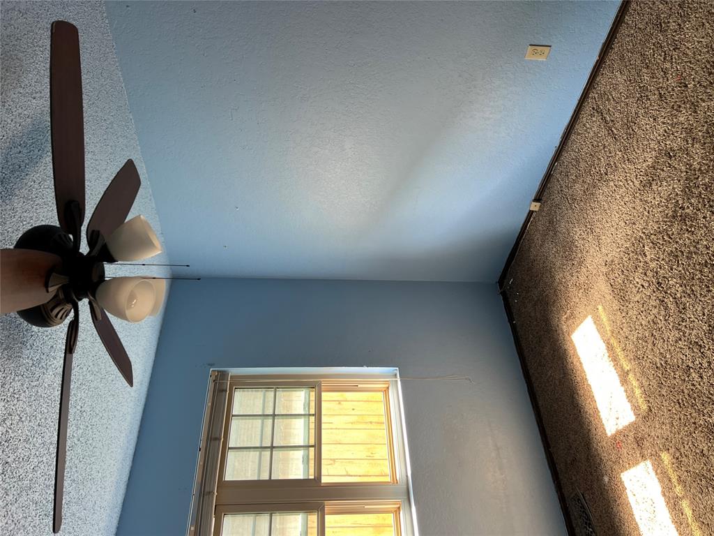 8813 N Mcmillan Avenue Property Photo 22