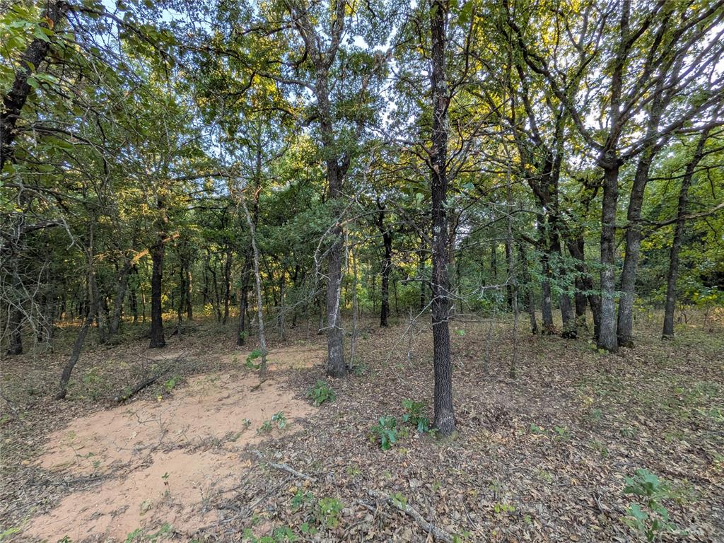 006 Hwy 39 Property Photo 8