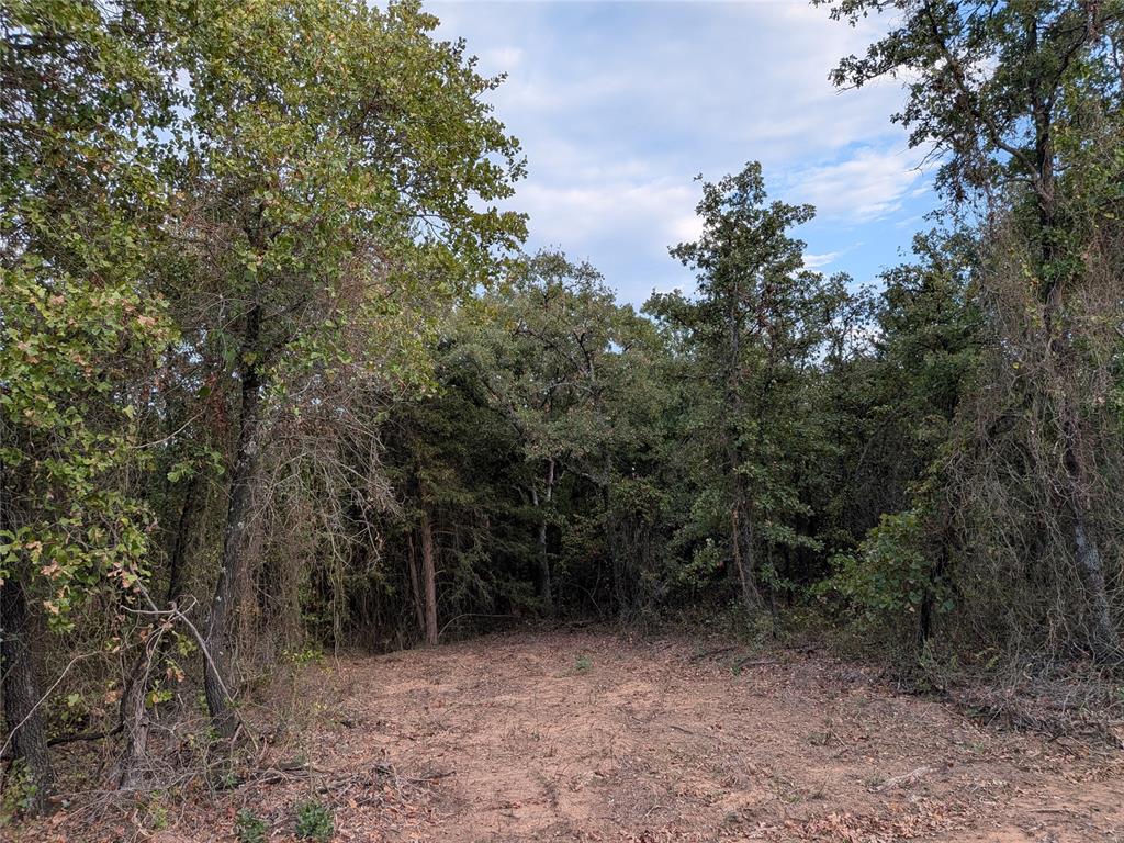 008 Hwy 39 Property Photo 9
