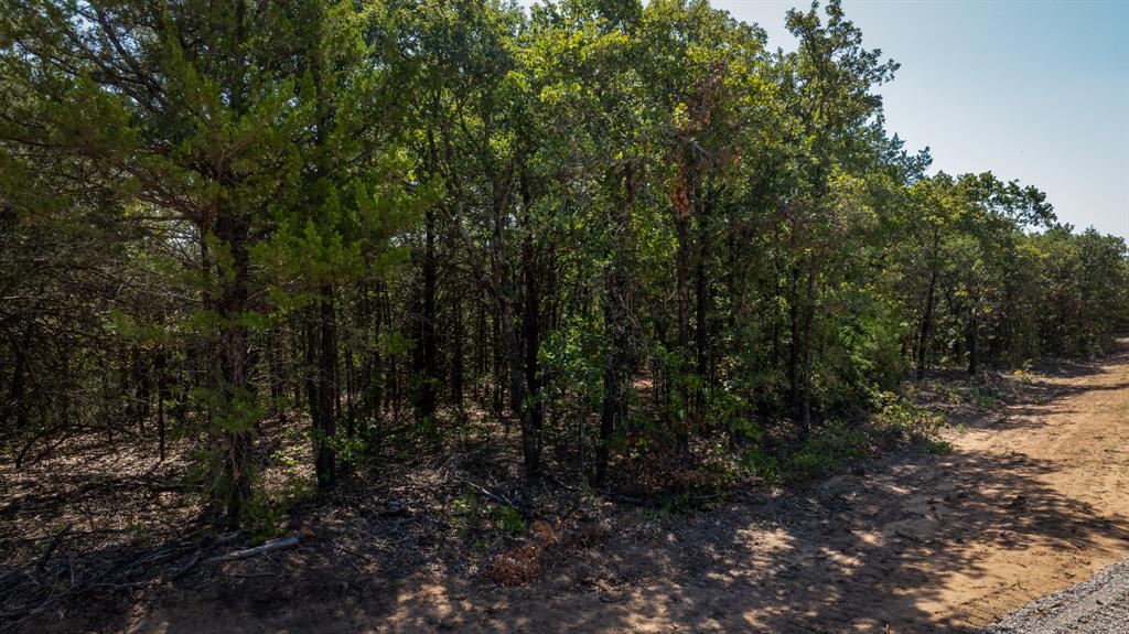 009 Hwy 39 Property Photo 7