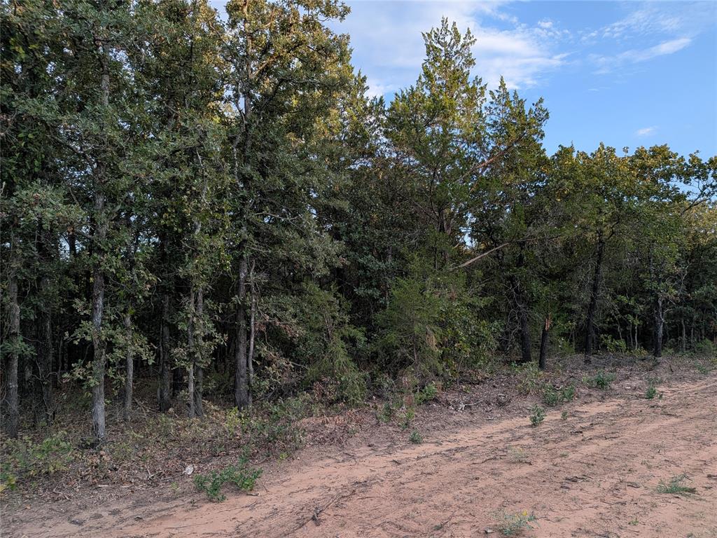011 Hwy 39 Property Photo 11