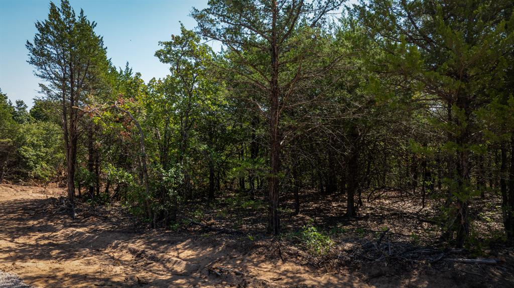 012 Hwy 39 Property Photo 9