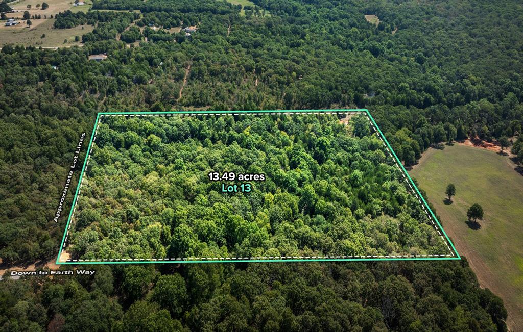 013 Hwy 39 Property Photo 1
