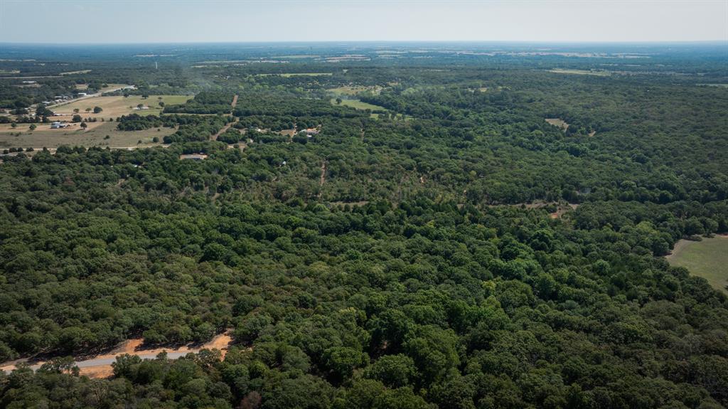 013 Hwy 39 Property Photo 4