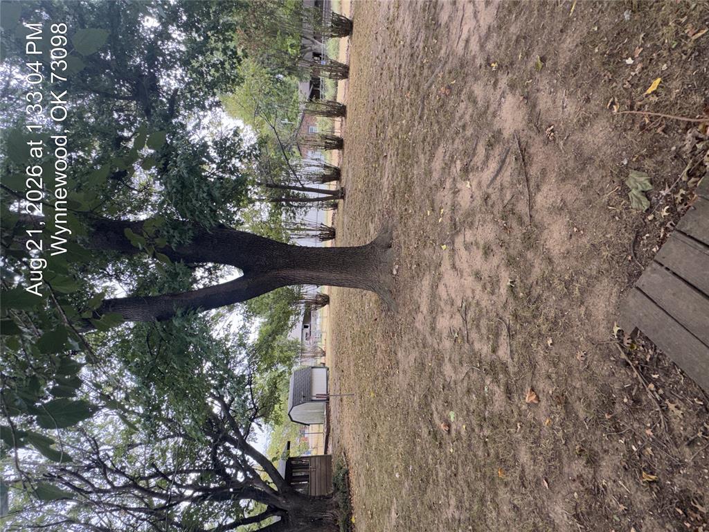1205 E Indianola Street Property Photo 14